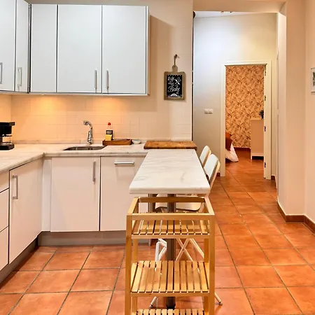 Modern Duplex Center 2d2b Apartment Seville