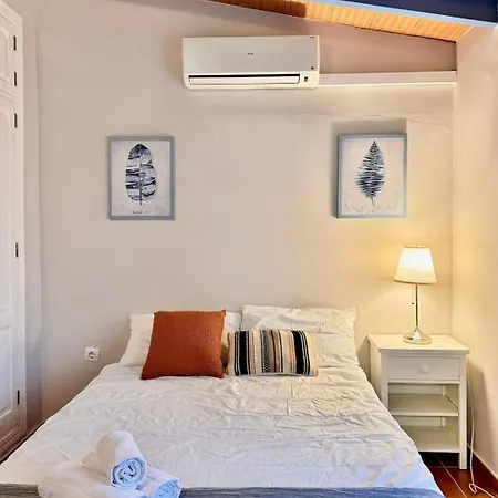 Modern Duplex Center 2d2b *